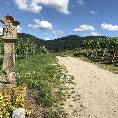 Azuria Black Forest Loft Casa vacanze Kappelrodeck