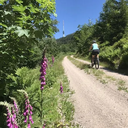 Azuria Black Forest Loft