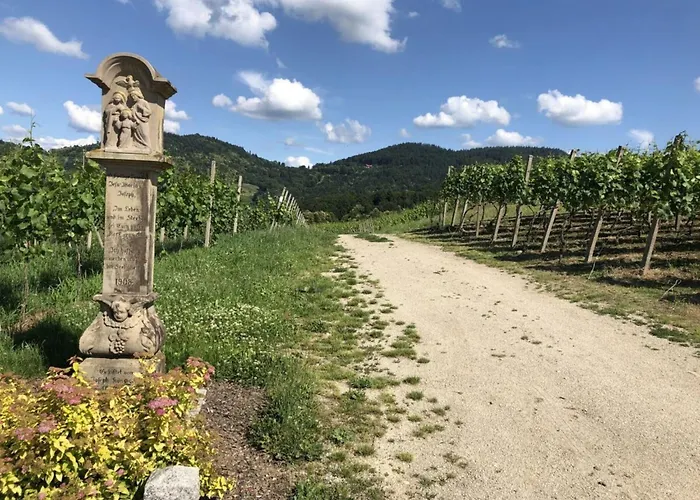 Azuria Black Forest Loft 別荘 カッペルローデック