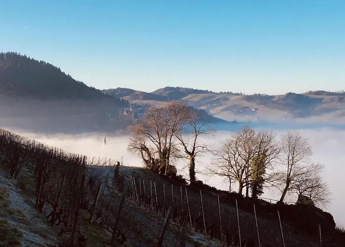 Azuria Black Forest Loft * カッペルローデック