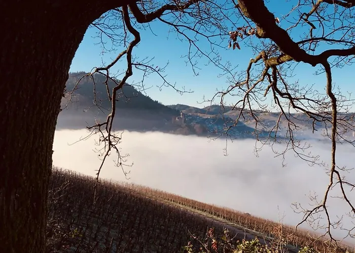 Azuria Black Forest Loft カッペルローデック