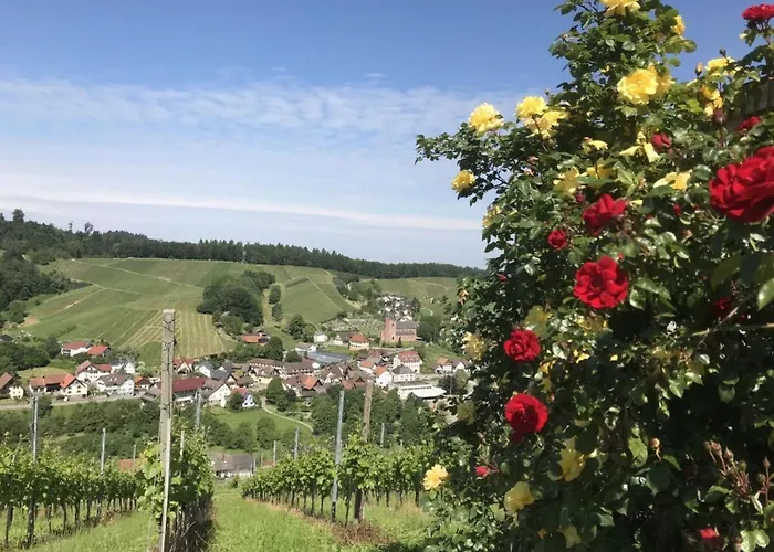 Azuria Black Forest Loft 別荘