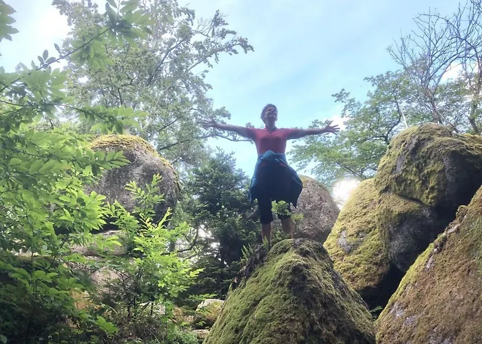 Azuria Black Forest Loft カッペルローデック