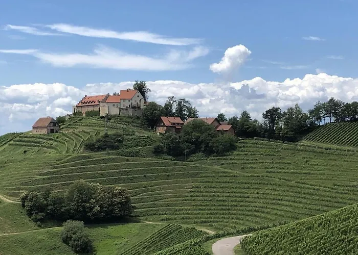 Azuria Black Forest Loft 別荘