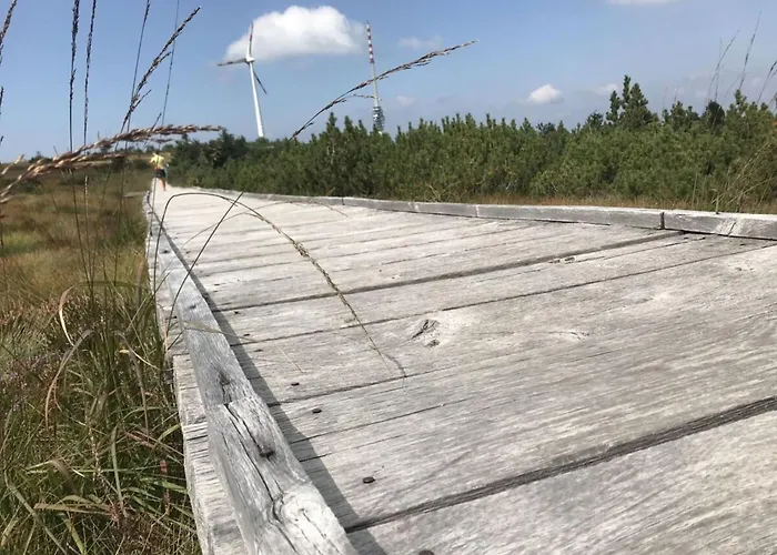 Azuria Black Forest Loft 別荘 *