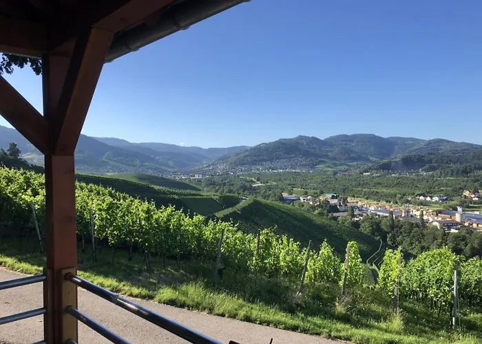 別荘 Azuria Black Forest Loft カッペルローデック