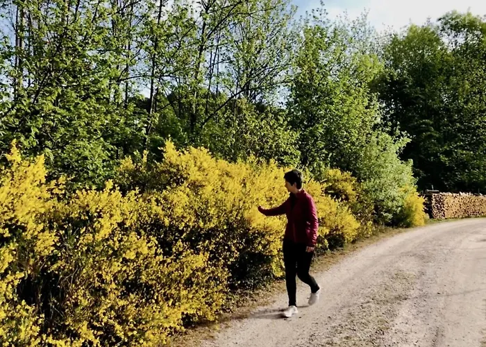 Azuria Black Forest Loft カッペルローデック