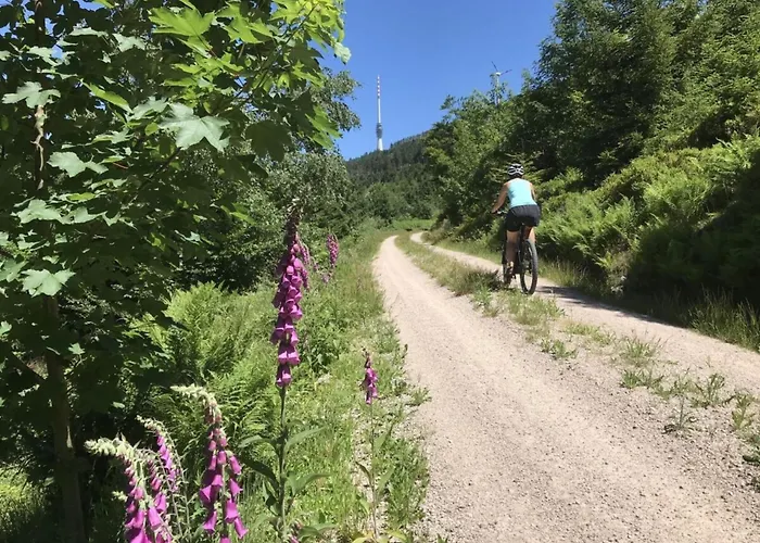 Azuria Black Forest Loft