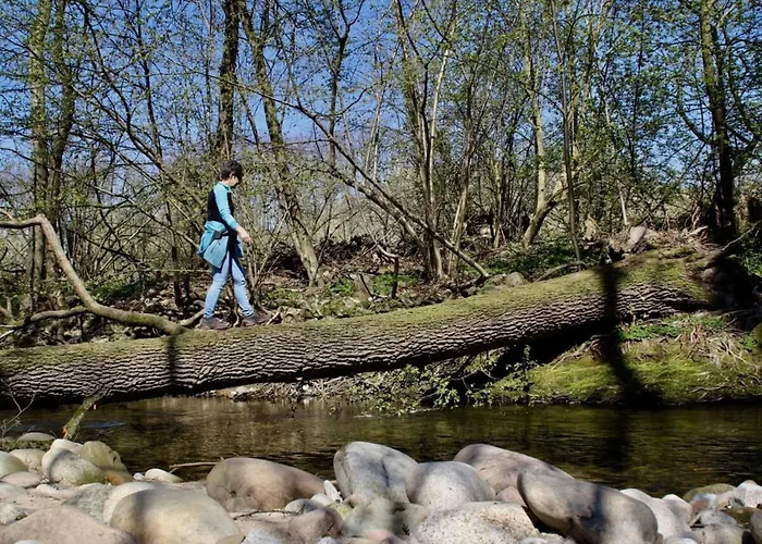 Azuria Black Forest Loft 別荘 *