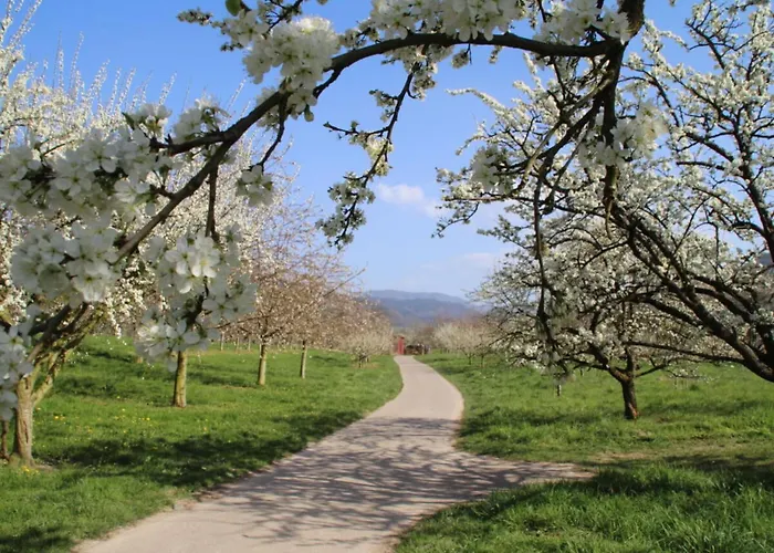 Azuria Black Forest Loft *