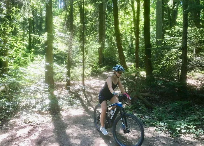 Azuria Black Forest Loft 別荘